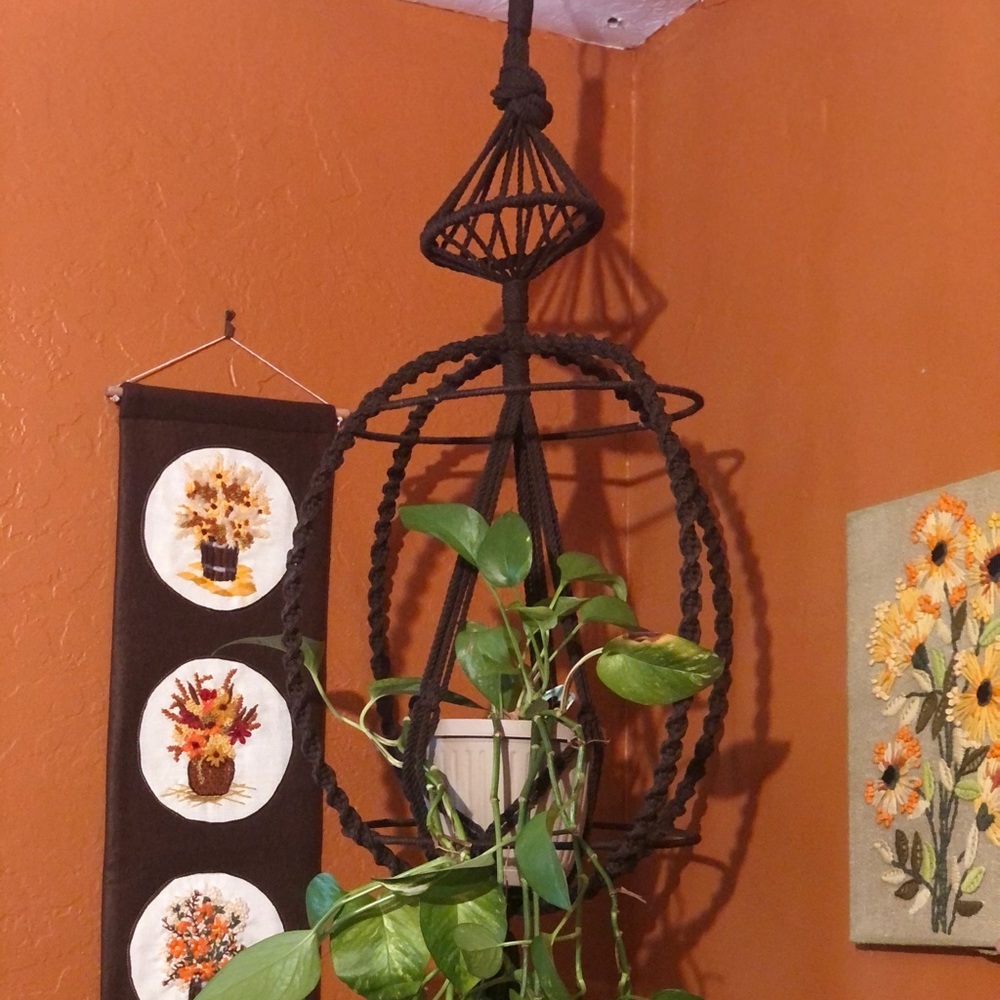 Amazing macrame plant holder!